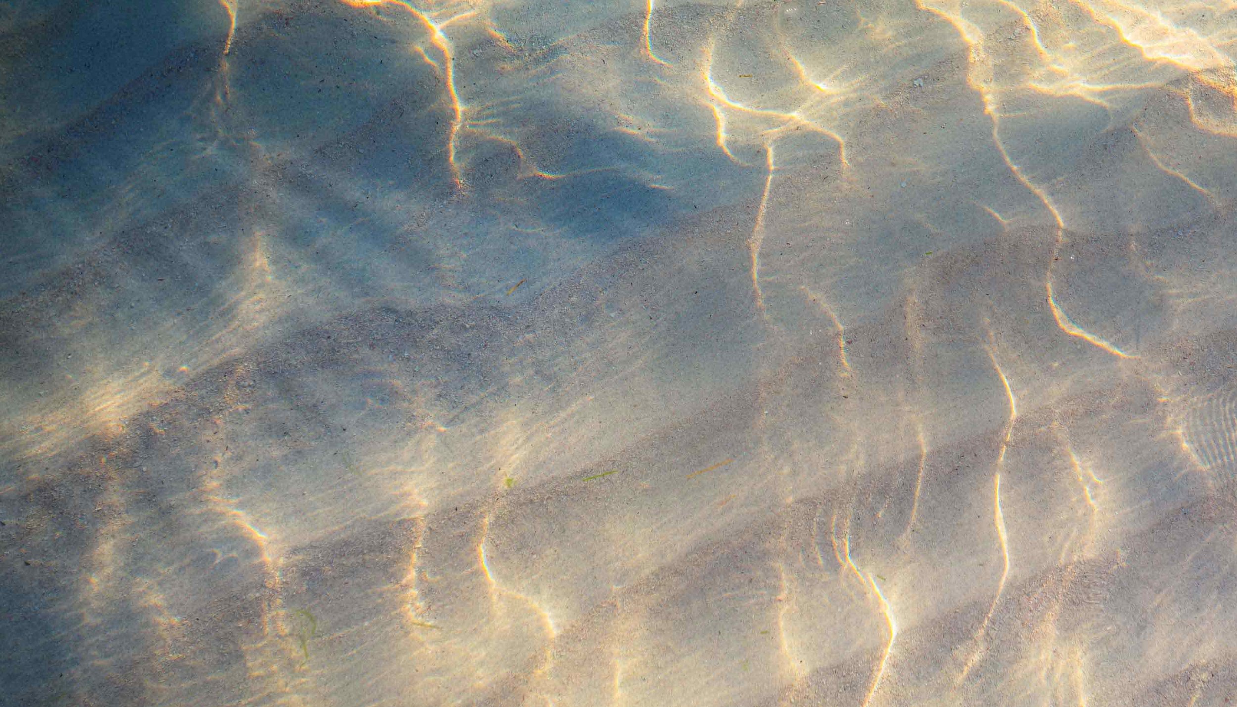  &nbsp;As we've been through the past four months, the material has been very, very in-depth, and I've gained a lot of good insight and knowledge and still have quite a bit of studying to do. There's a lot of content. There are applicable studies. I'