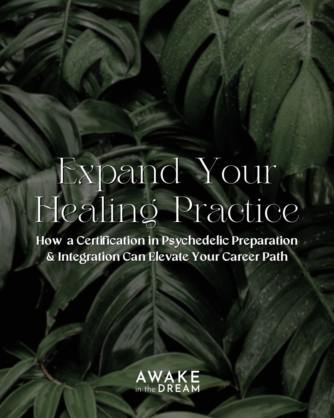 Elevate your healing arts career with a certification in psychedelic preparation &amp; integration practice! 🦋
Whether you're a therapist, plant medicine facilitator, coach, wellness practitioner, or soul-seeker drawn to psychedelic medicines, cert