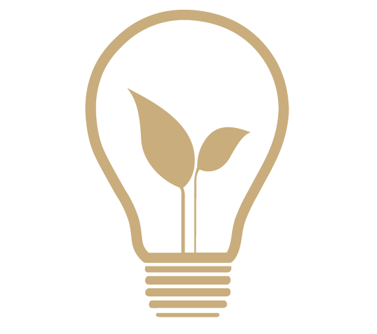Awake in the Dream gold education icon lightbulb with sprout