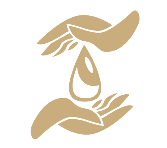 Awake in the Dream gold education icon lightbulb with sprout